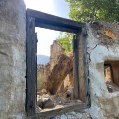 Shake your mind (with Chris Edmond)