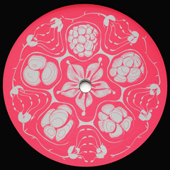 Premiere | Framboisier - Memory Access (Angel D´lite Remix) [DUALITY8]