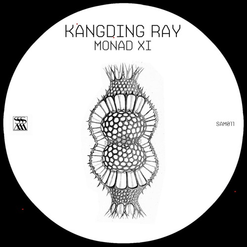 Oise (Original Mix)