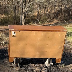 In My Entire Fucking Life (Instrumental)