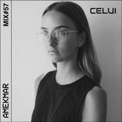 CELUI MIX#57 | AMEKMAR