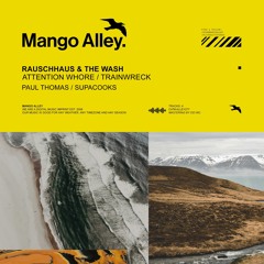 Rauschhaus & The Wash - Trainwreck (Supacooks Remix)