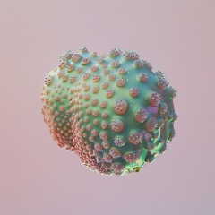 Dreamrdreamr - 24 July 2024