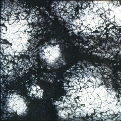 Yakkushi - Chaos In Ambience N