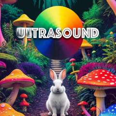 DAVE-SHREWD ULTRASOUND SUMMER*PARTY*STARTER