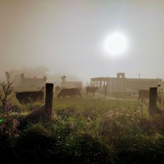 It is Not Justified & Ancient (The KLF Mix)