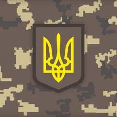 Shadow Phoenix- .mp3