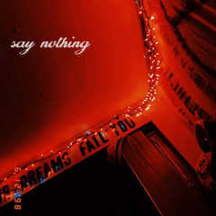 Say Nothing