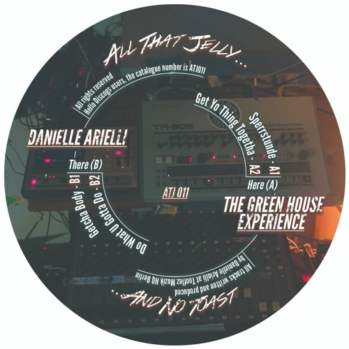 PREMIERE: Danielle Arielli - Do What U Gotta Do (All That Jelly)