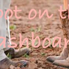 Boots on the Dashboard