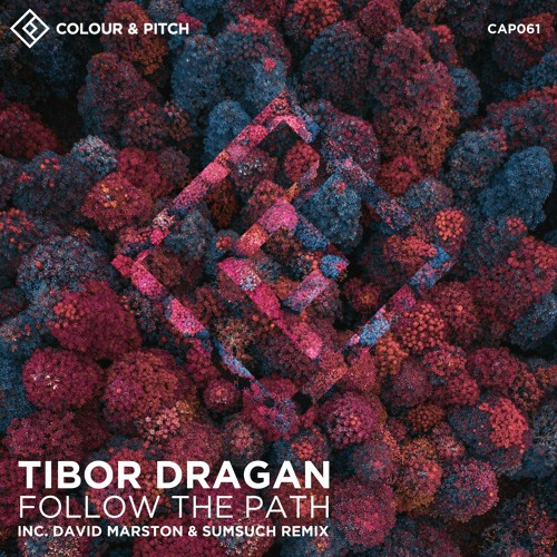 Premiere: Tibor Dragan - Follow the Path (David Marston & Sumsuch Remix) [Colour and Pitch]