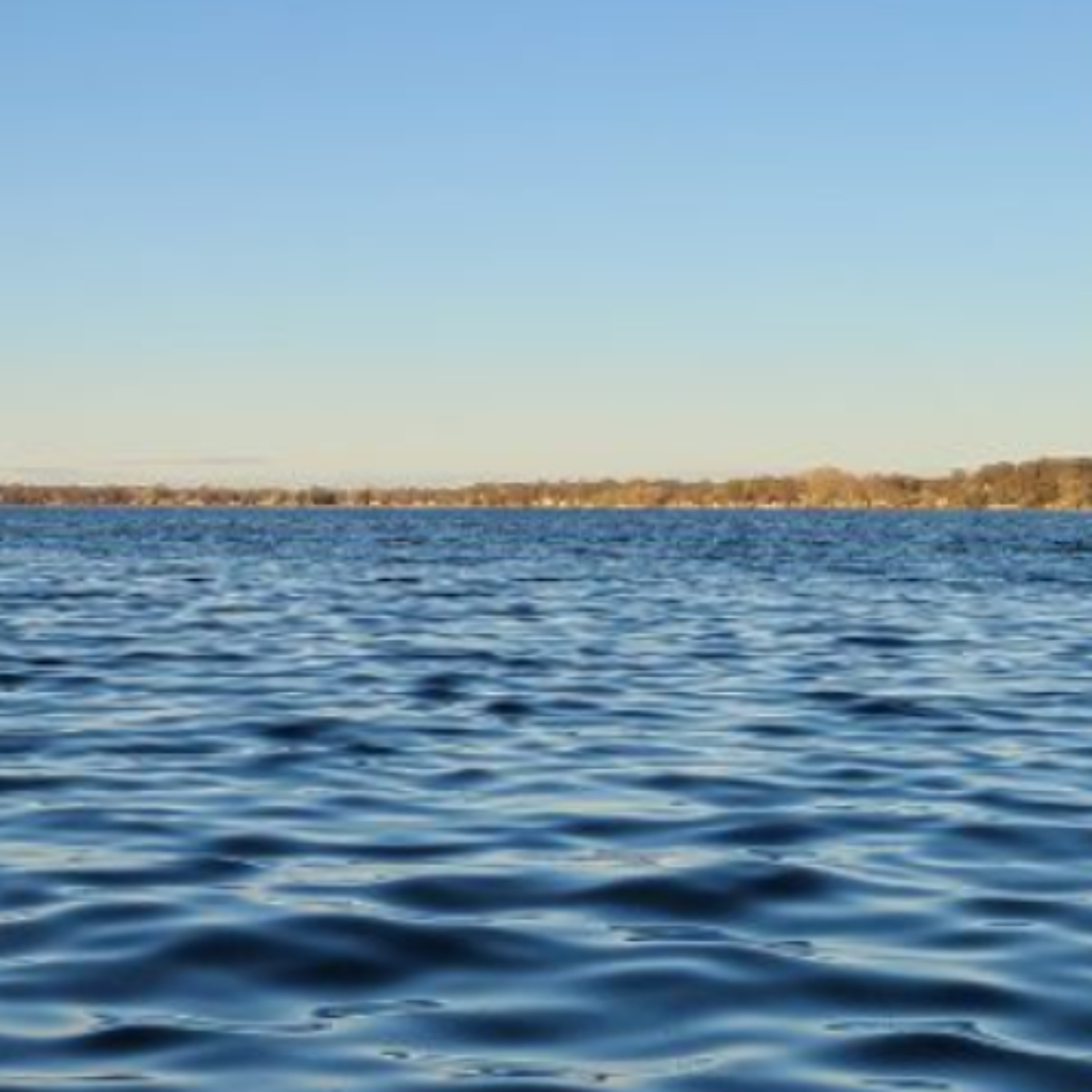 Deep Blue Dip: Community Swims Set To Raise Funds For Mental Health