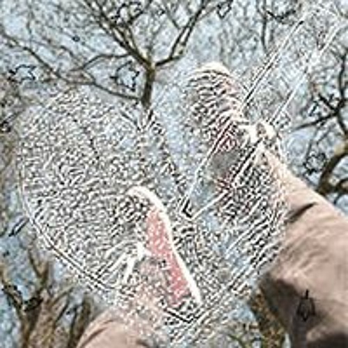 falling from the branches
