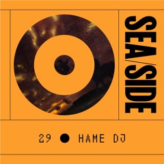 29 - Hame DJ