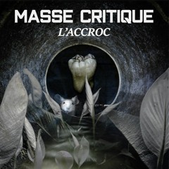 Masse critique #2 : L'accroc.