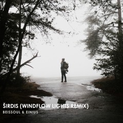 Beissoul & Einius - Širdis (Windflow Lights Unofficial Remix)