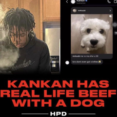 dkmike4 october 2k25 samples