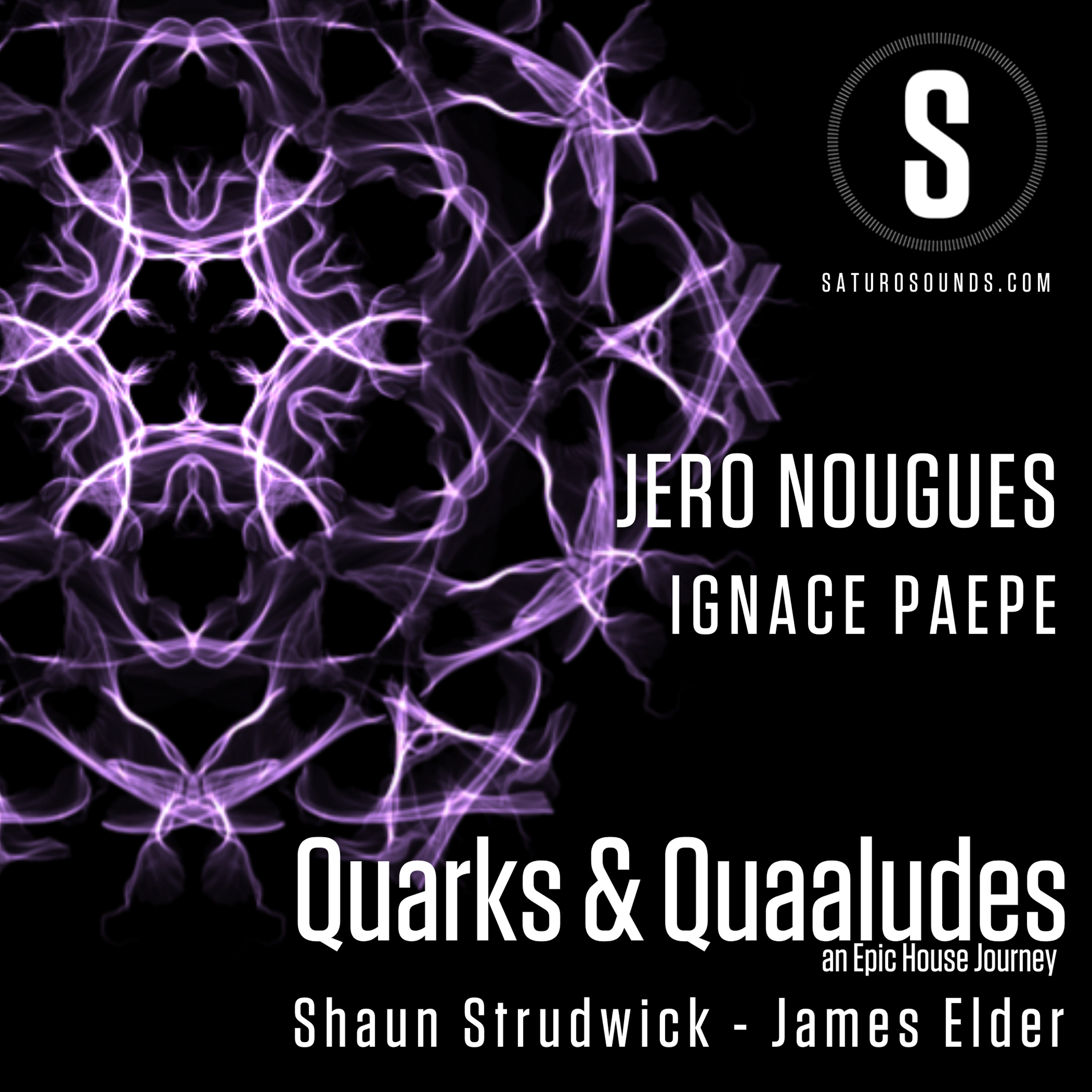 Quarks & Quaaludes #EpicHouseJourney