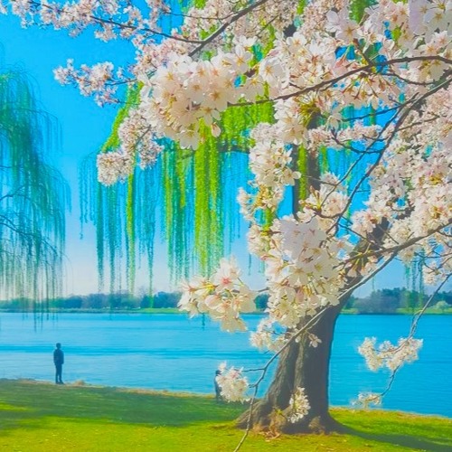 Chante Le Printemps Avec Les Oiseaux (Prod.cloubee)