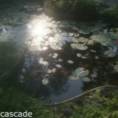 cascade