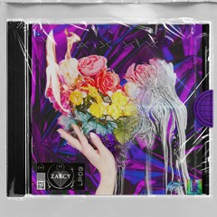 LP03 ~ Sampler ~ I Guess I'll Never Know, But Thats Okay