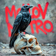 Find A Way - MolotovNitro