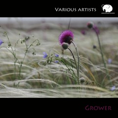 Downtempo•Psydub•Dubtechno•Organic House•Bassmusic 1