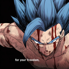 For your freedom | Fractured Zahha battle