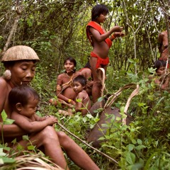 Sounds of the Rainforest – the Yanomami