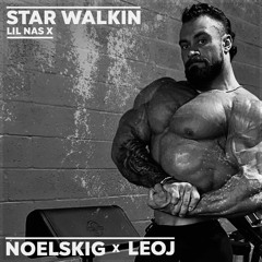 STAR WALKIN (NOELSKIG X LEOJ BOOTLEG)