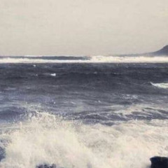 worthless [tokyos1ze + cryalxt]