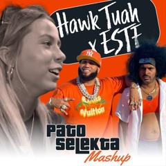 DJ FASTA -Este X Sleazy Stereo -Hawk Tuah (Edit Mashup)