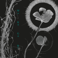 Psycolo dub - Preview