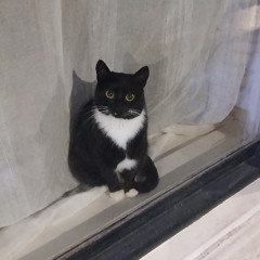 we're almost where we want to be  (instrumental)