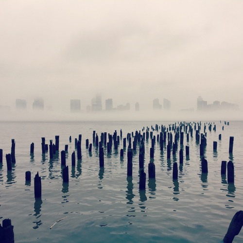 "I measure every Grief I meet" (Maria Popova reads Emily Dickinson)