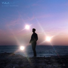 Leave The Light On (ft. Casey Brenning)