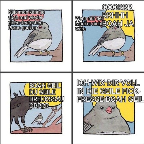 Akustische Prostatamassage