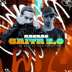 Magrão Gaita 2.0