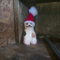 Christmas in the cellar