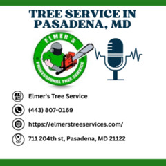 how-can-you-save-money-on-tree-removal-services-in-pasadena-md