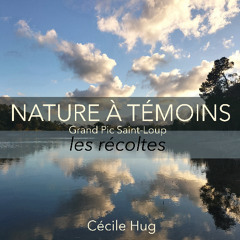 Nature à témoins, les récoltes