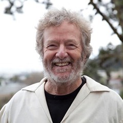 A Life Immersed in the Imaginal | Arthur Colman  and Host Michael Lerner