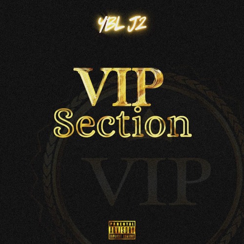 VIP Section