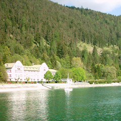 Träumen kann man was man will