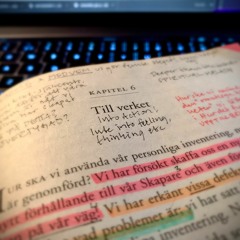 Steggrupp IX 240425 Till verket, del 1