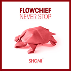 Flowchief - Never Stop (Extended)