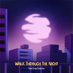 Walk Through The Night