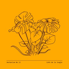 Herbarium No 13 - Cafe de la Jungle - Monstera Deliciosa