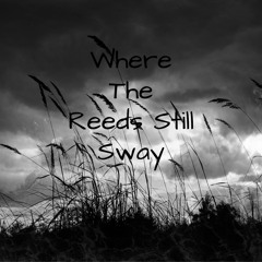 Where The Reeds Still Sway
