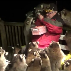 i wanted to make something rlly bad